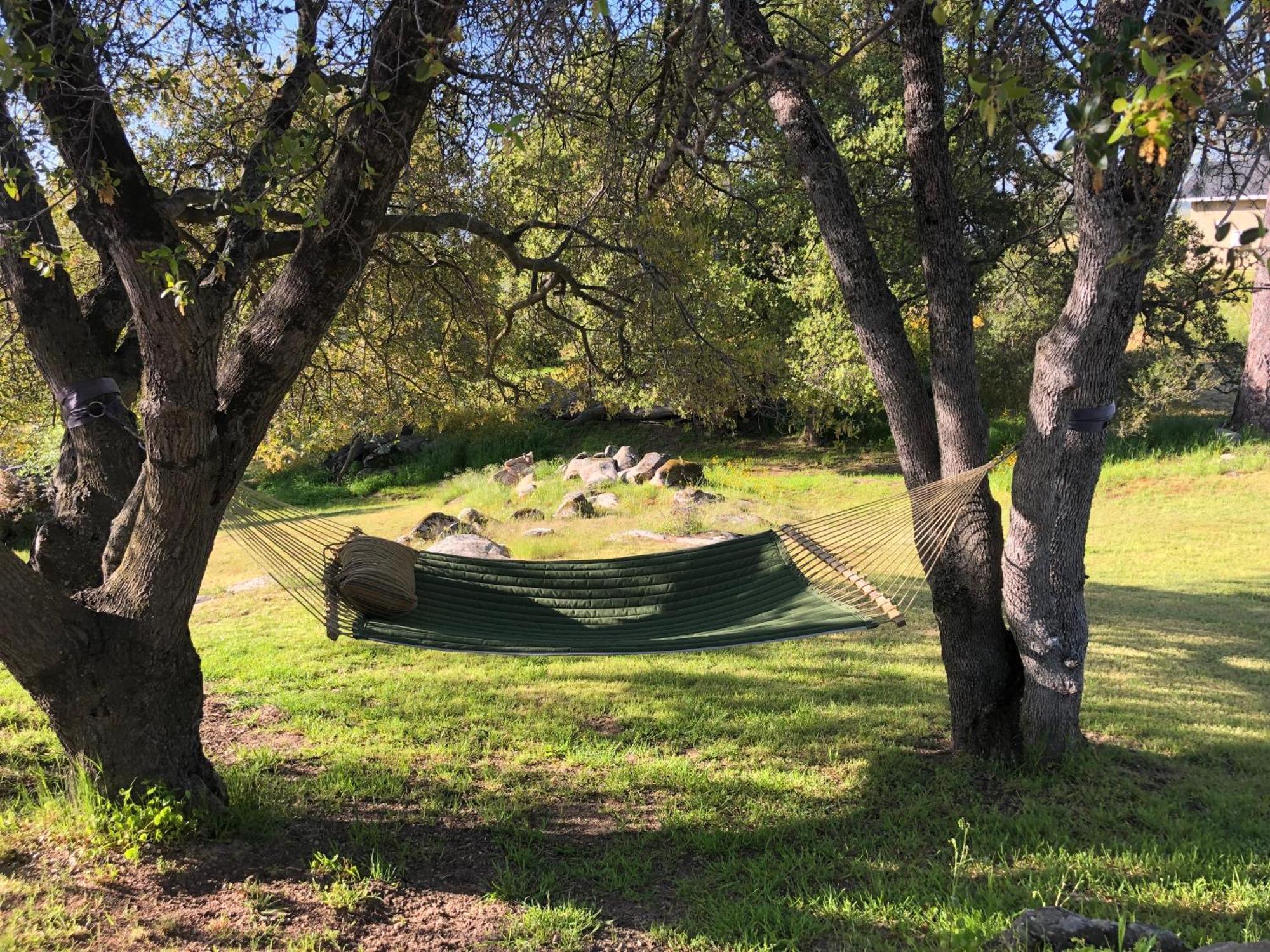 Apartamento Oak Retreat By Yosemite National Park Coarsegold Exterior foto